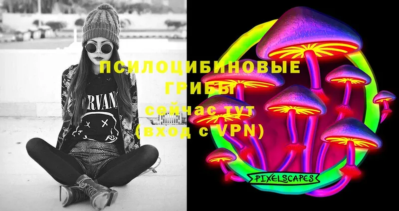 Галлюциногенные грибы MAGIC MUSHROOMS  Георгиевск 